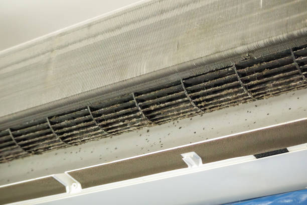 Air Duct Mold Removal